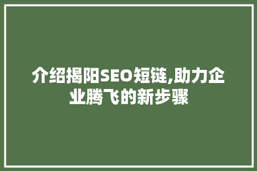 介绍揭阳SEO短链,助力企业腾飞的新步骤