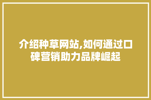 介绍种草网站,如何通过口碑营销助力品牌崛起