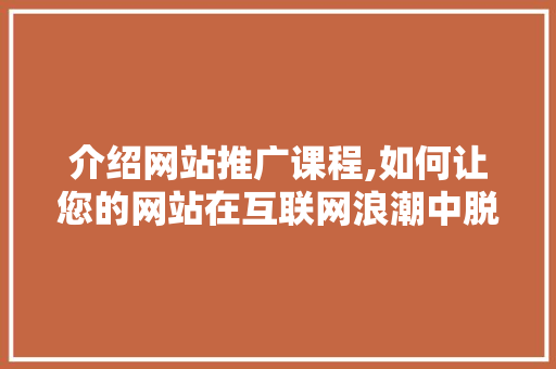 介绍网站推广课程,如何让您的网站在互联网浪潮中脱颖而出 网站优化