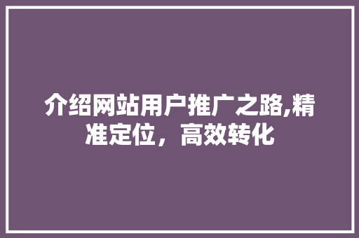 介绍网站用户推广之路,精准定位，高效转化