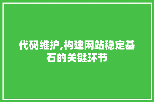 代码维护,构建网站稳定基石的关键环节