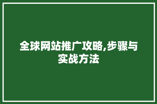 全球网站推广攻略,步骤与实战方法