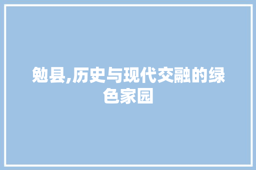 勉县,历史与现代交融的绿色家园 网站开发