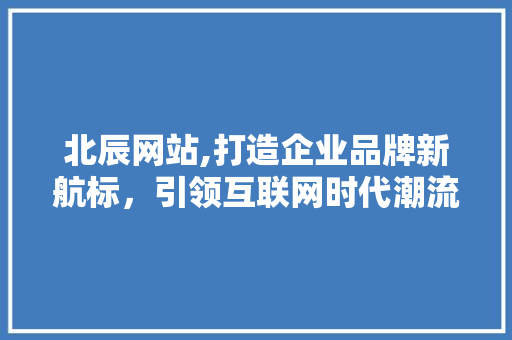 北辰网站,打造企业品牌新航标，引领互联网时代潮流