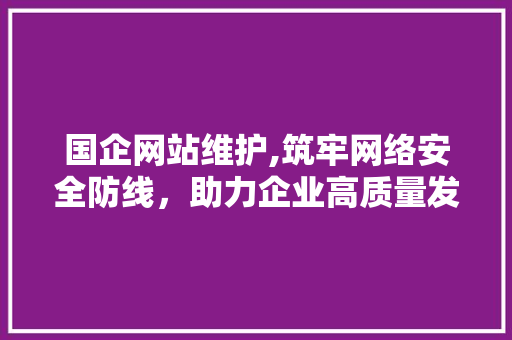 国企网站维护,筑牢网络安全防线，助力企业高质量发展