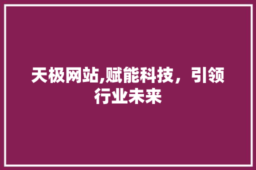 天极网站,赋能科技，引领行业未来 头条优化
