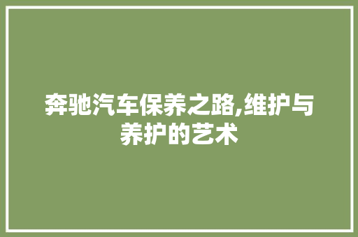 奔驰汽车保养之路,维护与养护的艺术 网站优化