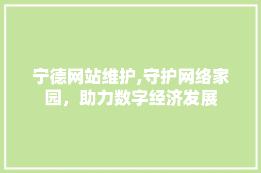 宁德网站维护,守护网络家园，助力数字经济发展