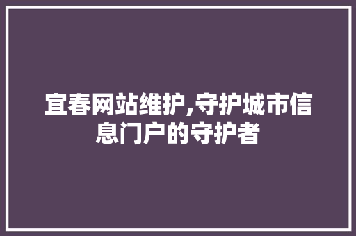 宜春网站维护,守护城市信息门户的守护者