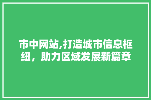 市中网站,打造城市信息枢纽，助力区域发展新篇章