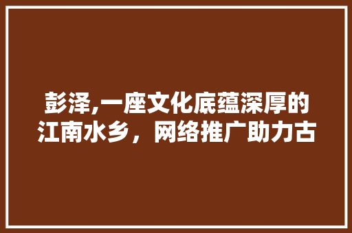 彭泽,一座文化底蕴深厚的江南水乡，网络推广助力古韵传承