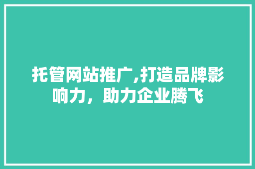 托管网站推广,打造品牌影响力，助力企业腾飞 seo技术