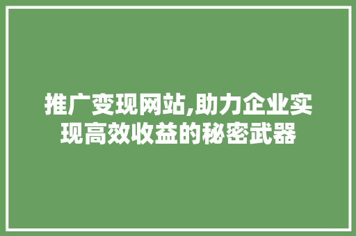 推广变现网站,助力企业实现高效收益的秘密武器