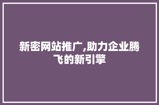 新密网站推广,助力企业腾飞的新引擎 百度算法