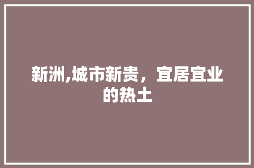 新洲,城市新贵，宜居宜业的热土