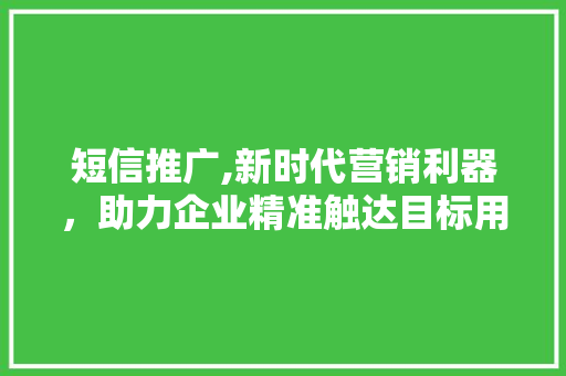 短信推广,新时代营销利器，助力企业精准触达目标用户 英文谷歌算法
