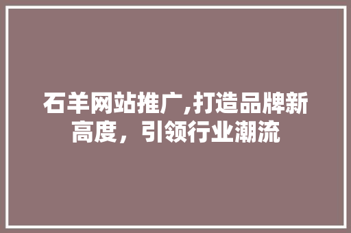 石羊网站推广,打造品牌新高度，引领行业潮流