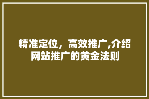 精准定位，高效推广,介绍网站推广的黄金法则