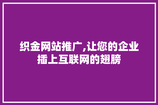 织金网站推广,让您的企业插上互联网的翅膀 seo技术