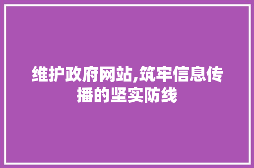 维护政府网站,筑牢信息传播的坚实防线 网站开发