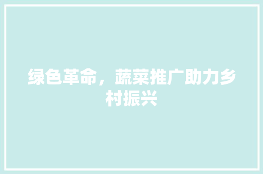 绿色革命，蔬菜推广助力乡村振兴
