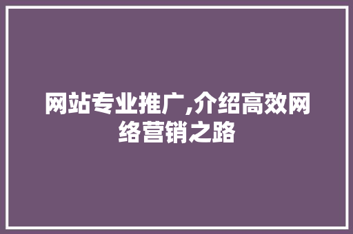 网站专业推广,介绍高效网络营销之路