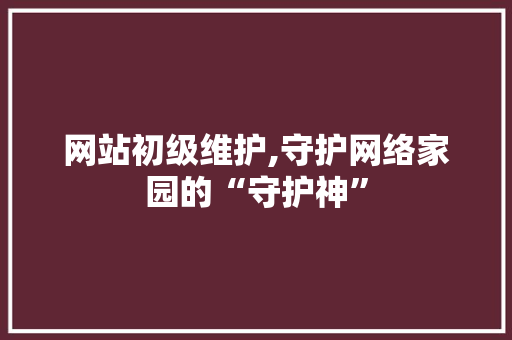 网站初级维护,守护网络家园的“守护神”