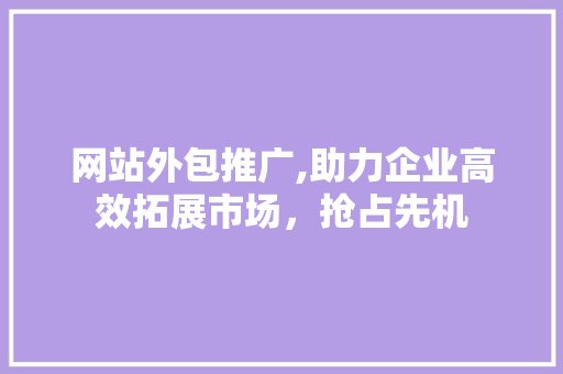 网站外包推广,助力企业高效拓展市场，抢占先机
