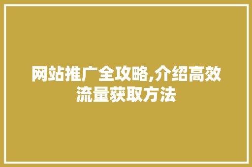 网站推广全攻略,介绍高效流量获取方法