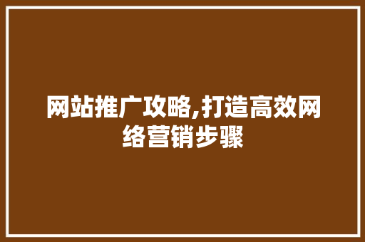 网站推广攻略,打造高效网络营销步骤