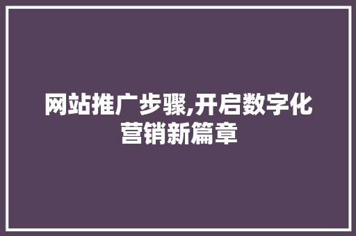 网站推广步骤,开启数字化营销新篇章