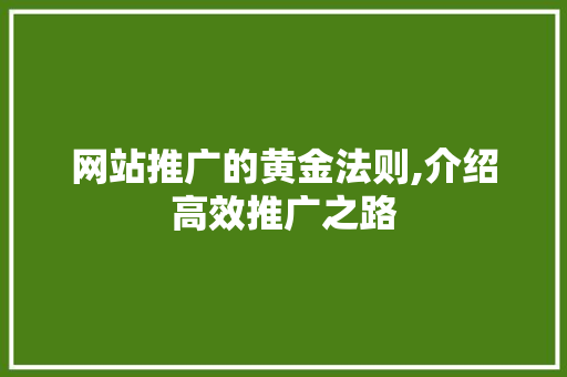 网站推广的黄金法则,介绍高效推广之路 AI技术学习