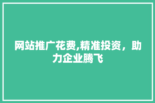 网站推广花费,精准投资，助力企业腾飞 英文谷歌算法