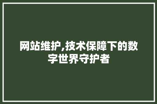 网站维护,技术保障下的数字世界守护者