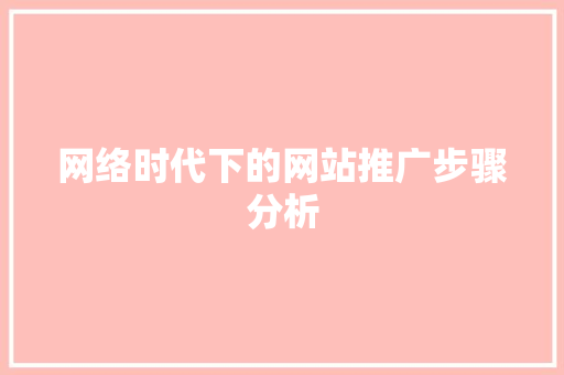 网络时代下的网站推广步骤分析 seo技术