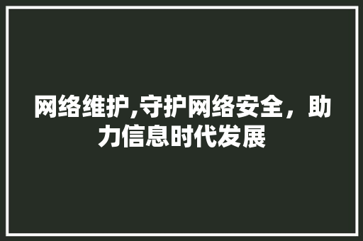 网络维护,守护网络安全，助力信息时代发展