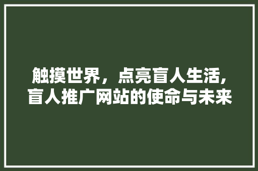 触摸世界，点亮盲人生活,盲人推广网站的使命与未来 AI技术学习