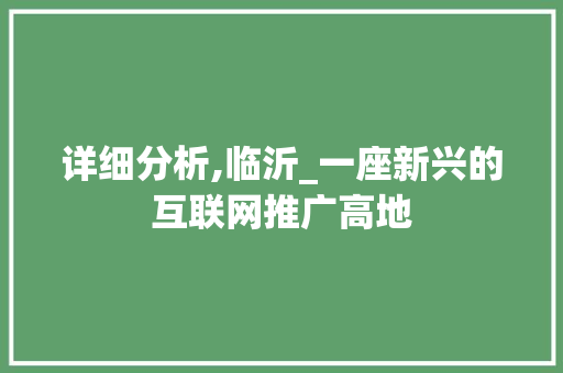 详细分析,临沂_一座新兴的互联网推广高地