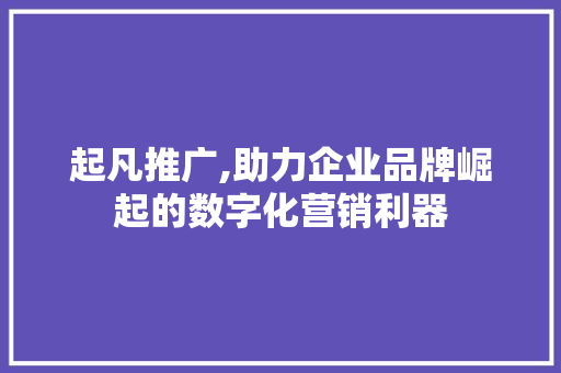 起凡推广,助力企业品牌崛起的数字化营销利器