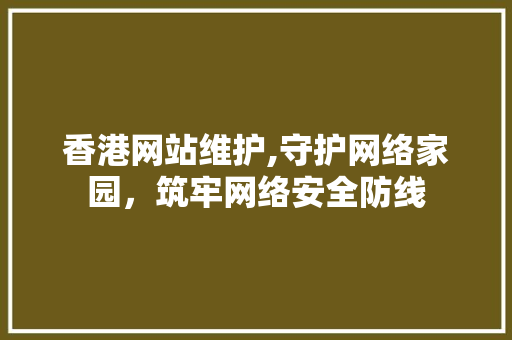 香港网站维护,守护网络家园，筑牢网络安全防线