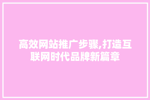 高效网站推广步骤,打造互联网时代品牌新篇章