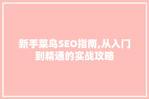 新手菜鸟SEO指南,从入门到精通的实战攻略