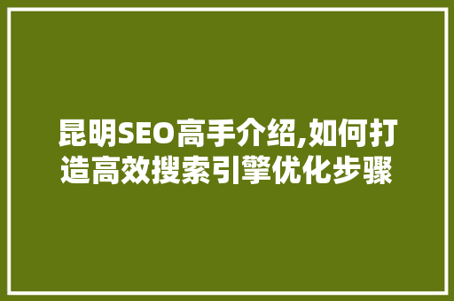 昆明SEO高手介绍,如何打造高效搜索引擎优化步骤 网站优化