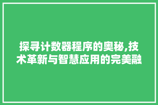 探寻计数器程序的奥秘,技术革新与智慧应用的完美融合