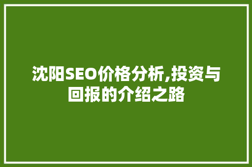 沈阳SEO价格分析,投资与回报的介绍之路
