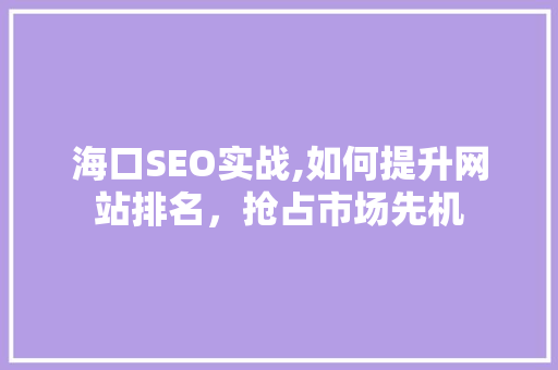 海口SEO实战,如何提升网站排名，抢占市场先机