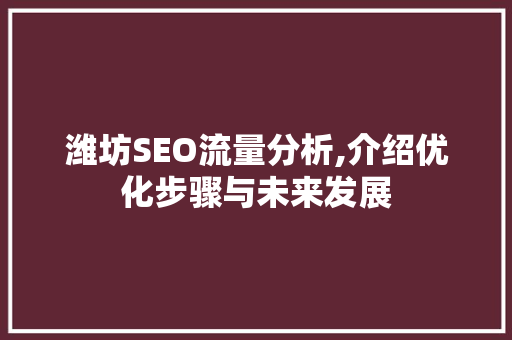 潍坊SEO流量分析,介绍优化步骤与未来发展