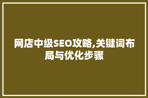 网店中级SEO攻略,关键词布局与优化步骤
