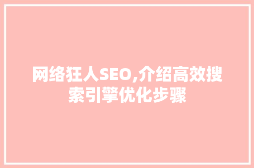 网络狂人SEO,介绍高效搜索引擎优化步骤