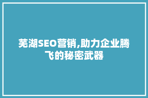 芜湖SEO营销,助力企业腾飞的秘密武器